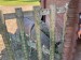 IMG-20250810-WA0018